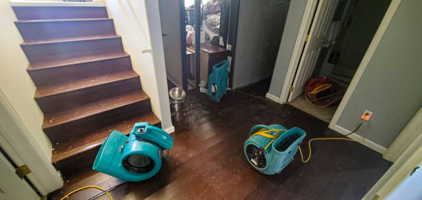 Best Mold removal after water damage  in Center, CO