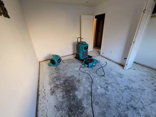 Best 24/7 water damage repair  in Center, CO