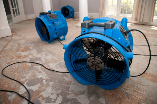 Best Water damage restoration near me  in Center, CO
