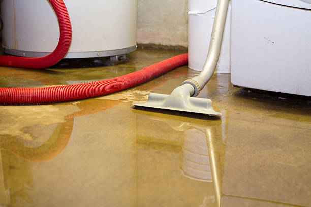 Best Water damage cleanup near me  in Center, CO